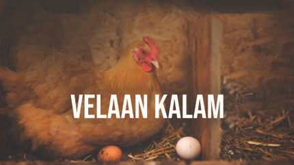 Verukku Neer Episode 2 on DD5 Podhigai - past program