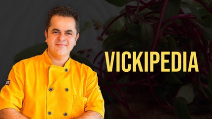 Vickipedia Episode 230 on Zee Zest HD - past program