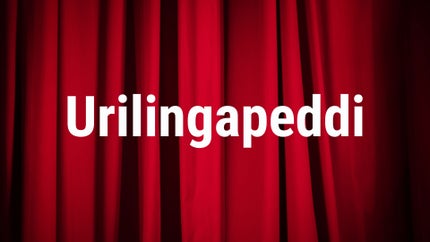 Urilingapeddi on DD9 chandana (kannada) - past program