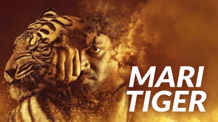 Mari Tiger on Zee Picchar SD - past program