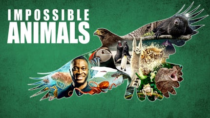Impossible Animals Episode 1 on Animal Planet Hindi - past program