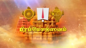 Tirupati Brahmotsavam on Sun TV HD - future program