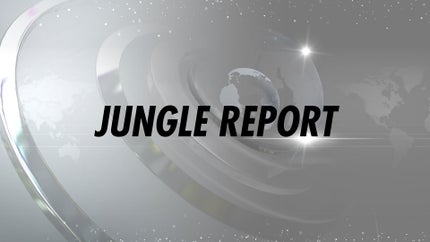 Jungle Report on News Nation - past program