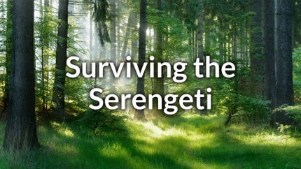 New Life: Born to Run on Animal Planet Hindi - past program