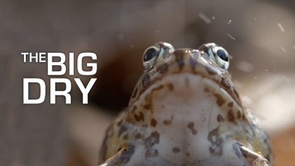 The Big Dry Episode 2 on Animal Planet Hindi - past program