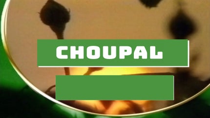 Choupal on DD Madhya Pradesh - past program