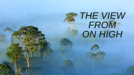 The View From on High on Animal Planet Hindi - past program