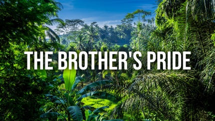 The Brother's Pride on Animal Planet Hindi - past program