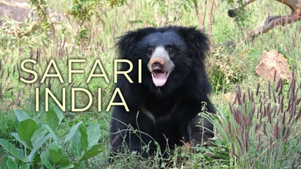 I Want To Bake Free Episode 11 on Zee Zest HD - past program