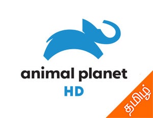 Animal Planet HD Tamil on Animal Planet HD Tamil - live program