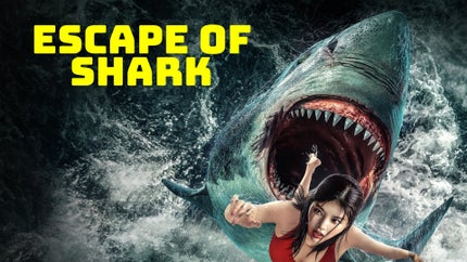 Escape of Shark on And Prive HD - past program