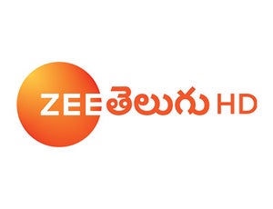 Zee Telugu HD on Zee Telugu HD - past program