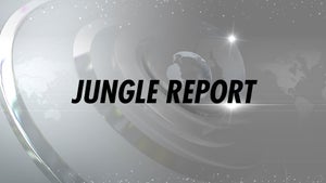 Jungle Report on News Nation - past program