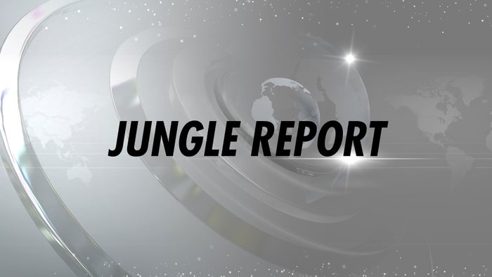 Jungle Report on JioTV