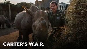 India 2050 on Discovery Science - past program