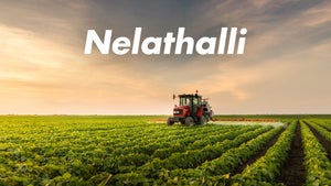 Nelathalli on HM TV - live program