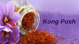 Kong Posh on DD Kashir - past program