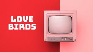 Love Birds on Public Music - past program