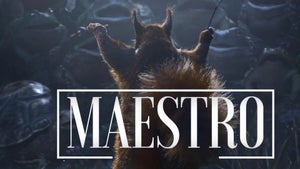 TV5 Monde on TV5 Monde - future program