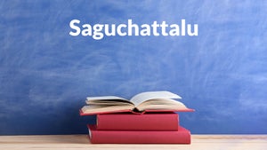 Saguchattalu on T SAT Nipuna - live program