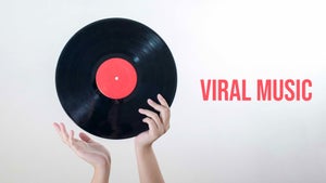 Viral Music on Insync - future program
