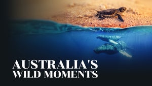 The World on ABC Australia - future program