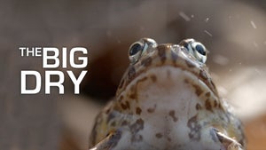 The Big Dry Episode 1 on Animal Planet Telugu - future program
