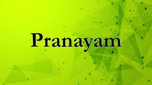 Pranayam on Raj Music Malayalam - future program