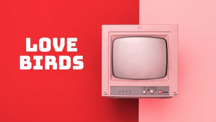 Love Birds on Public Music - past program