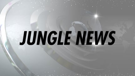 Jungle News on News Nation - past program