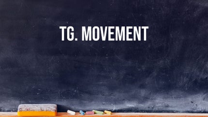 TG. Movement on T SAT Vidya - past program