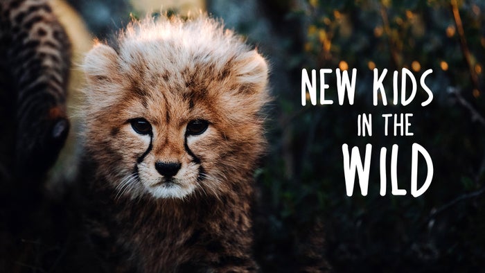 New Kids in the Wild Episode No.1 on JioTV