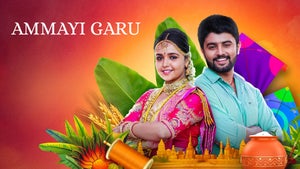 Ammayi Garu Episode 920 on Zee Telugu HD - future program