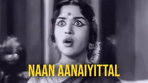 Naan Aanaiyittal on Sun Life - past program