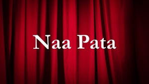 Naa Pata on Gemini Life - future program