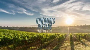 TV5 Monde Episode 5 on TV5 Monde - future program