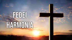 Fedei Harmonia on Goodness - future program