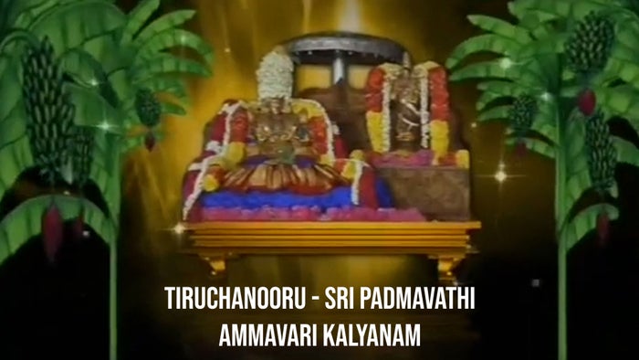 Tiruchanooru - Sri Padmavathi Ammavari Kalyanam on JioTV