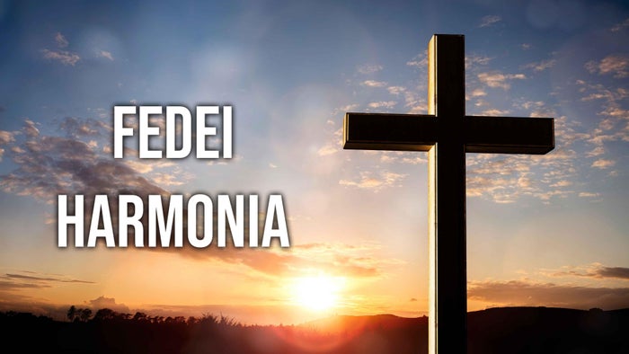 Fedei Harmonia on JioTV