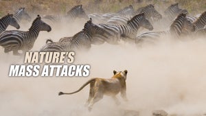Deadliest South Africa Episode 2 on Animal Planet Telugu - past program