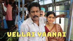Vellai Yaanai on KTV HD - past program
