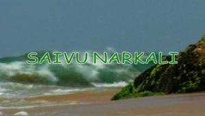 Saaivu Naarkkaali on DD5 Podhigai - past program