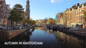 Autumn in Amsterdam on Stingray Naturescape - future program