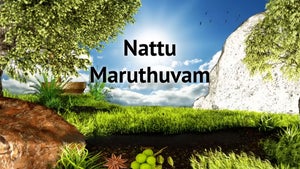 Nattu Maruthuvam on Sun Life - past program