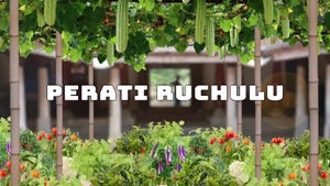 Perati Ruchulu Episode 714 on ETV Abhiruchi - past program