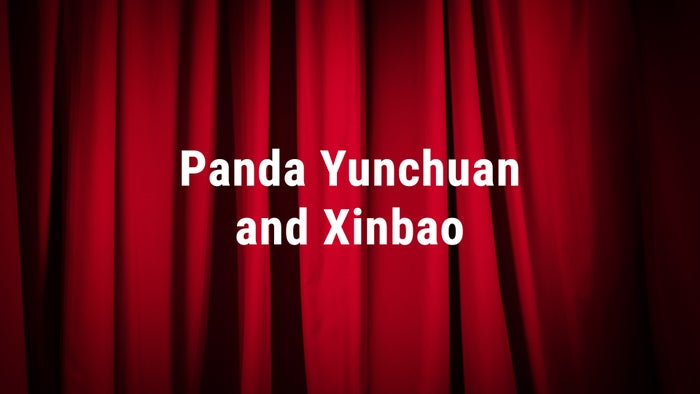 Panda Yunchuan and Xinbao Episode No.2 on JioTV