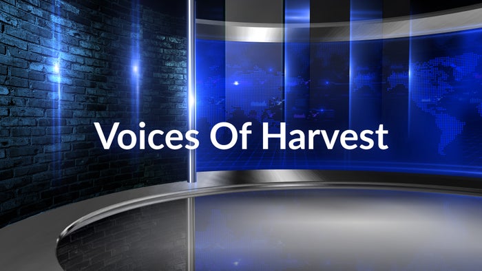 Voices Of Harvest on JioTV