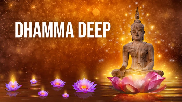 Dhamma Deep on JioTV