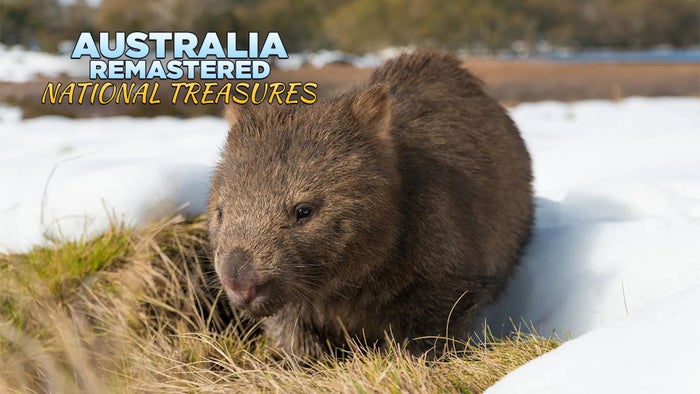 Australia Remastered: National Treasures Episode No.4 on JioTV