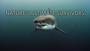 Nature's Ultimate Survivors Episode 2 on Animal Planet English - past program